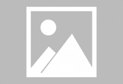 梦想世界最新爆料,神秘势力崛起，未来走向引热议